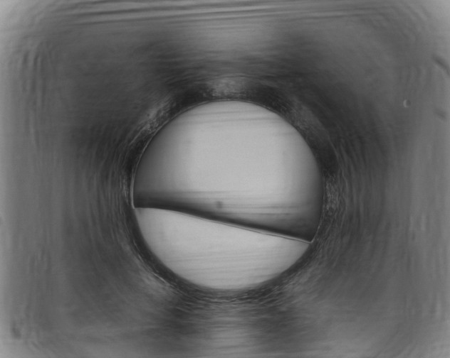 X0000098120648200804040825