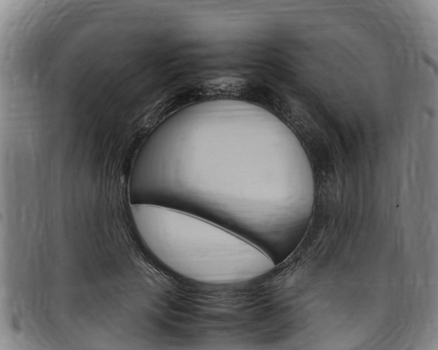 X0000098120649200804040825