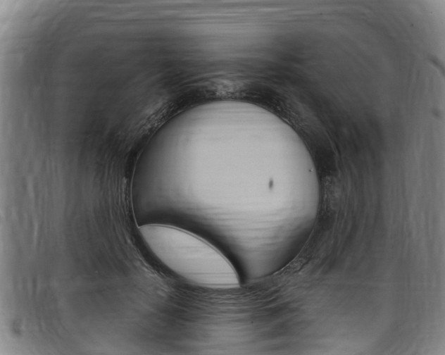 X0000098120650200804040825