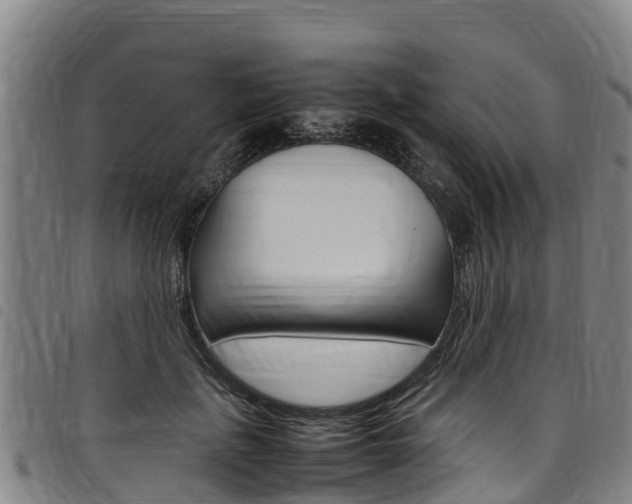 X0000098120651200804040825
