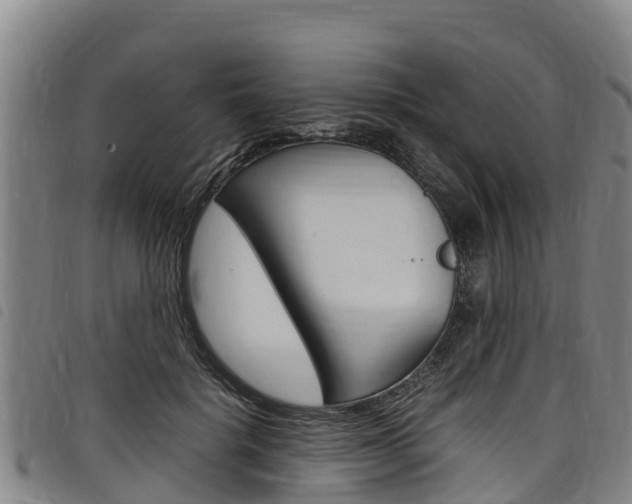 X0000098120652200804040825