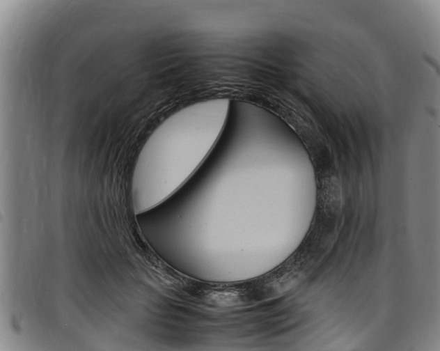 X0000098120653200804040825