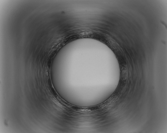 X0000098120654200804040825