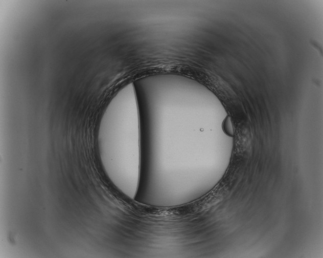 X0000098120656200804040825