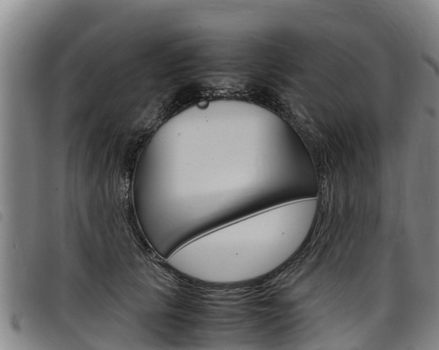 X0000098120657200804040825
