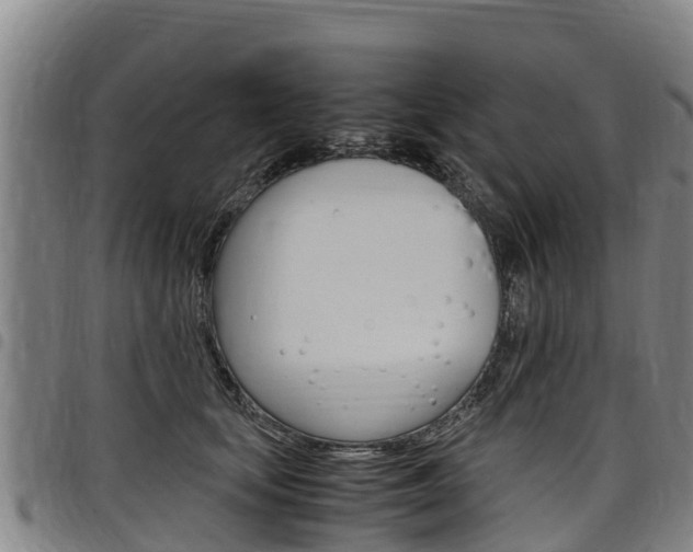 X0000098120659200804040825