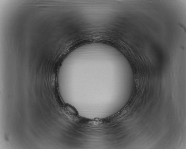 X0000098120660200804040825
