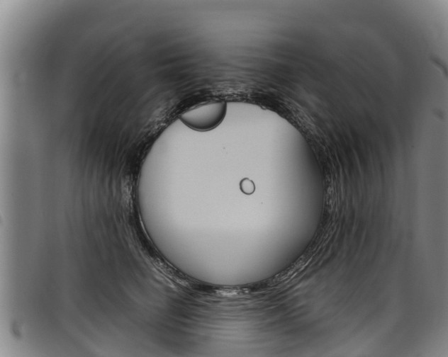 X0000098120662200804040825
