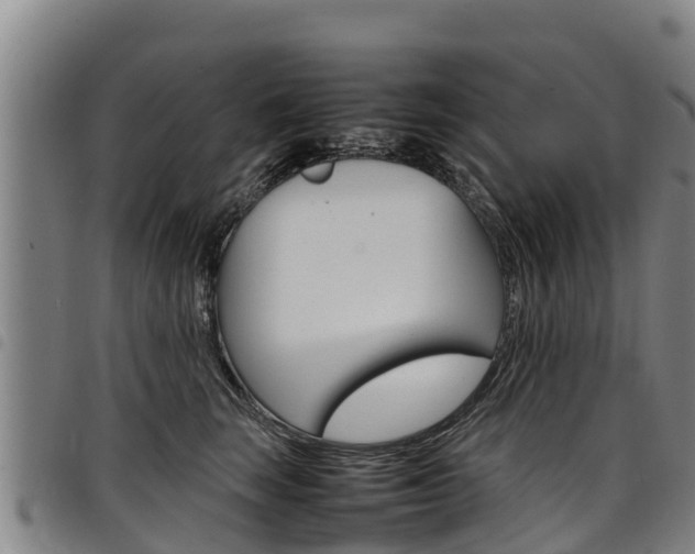 X0000098120663200804040825