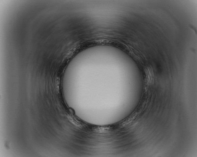 X0000098120664200804040825