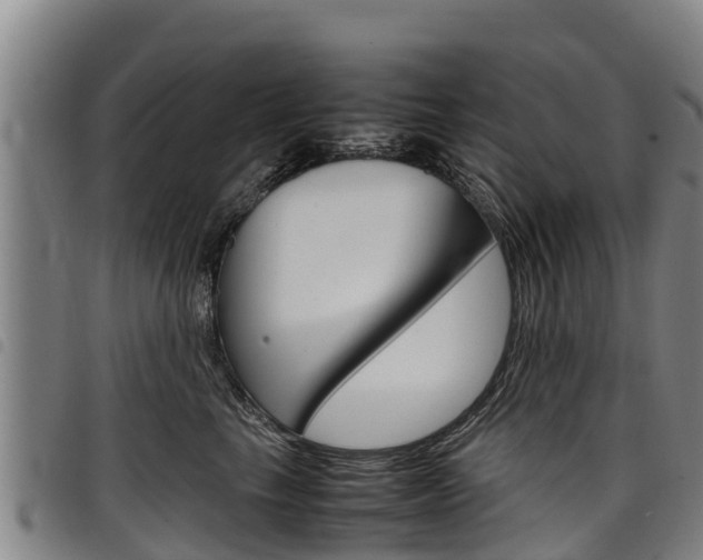 X0000098120665200804040825