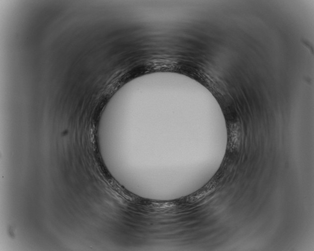 X0000098120667200804040825