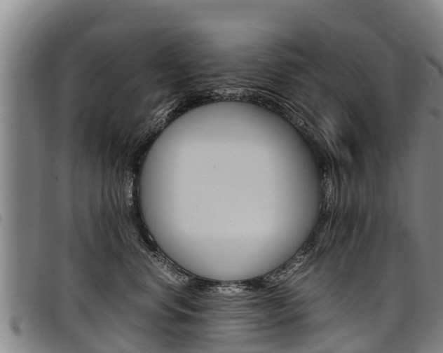 X0000098120668200804040825