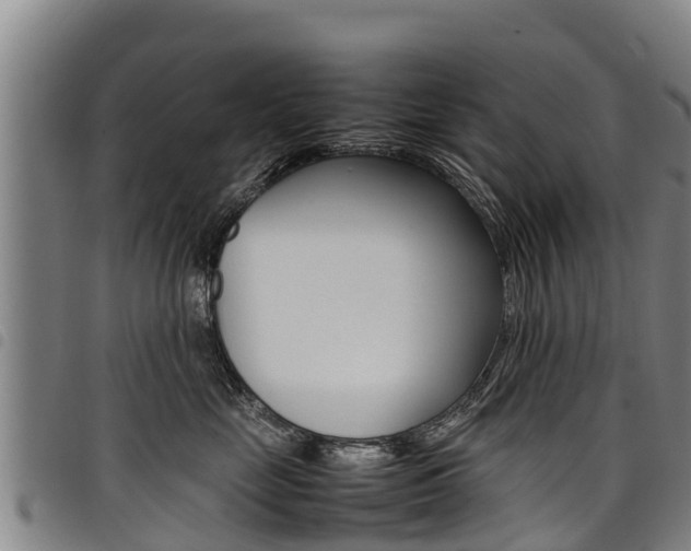X0000098120669200804040825