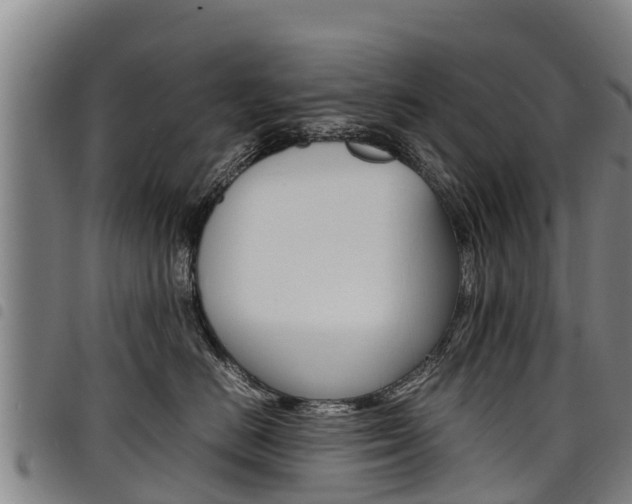 X0000098120670200804040825