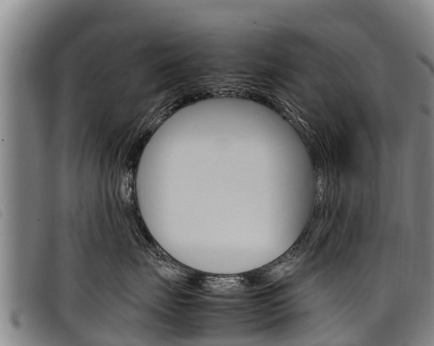 X0000098120671200804040825