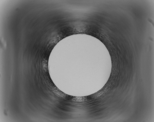 X0000098120672200804040825