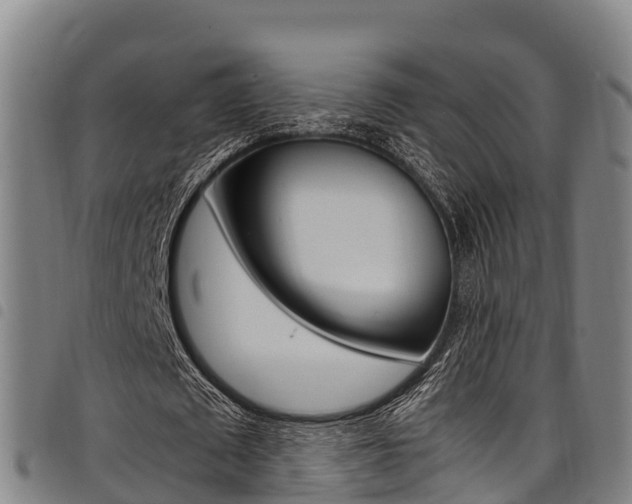 X0000098120673200804040824