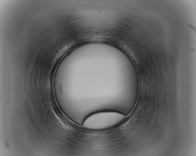 X0000098120674200804040824