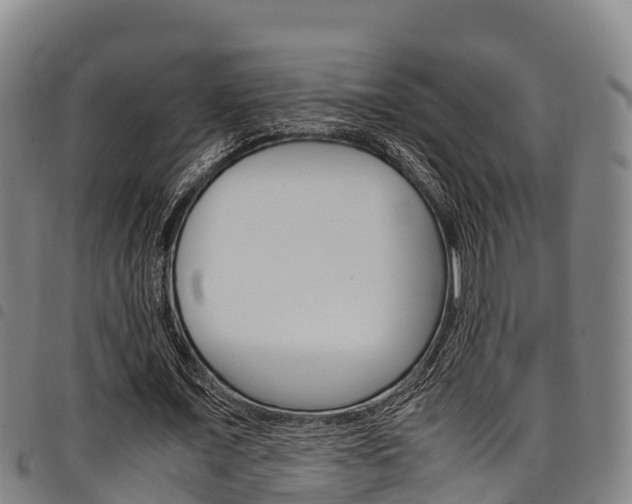 X0000098120675200804040824