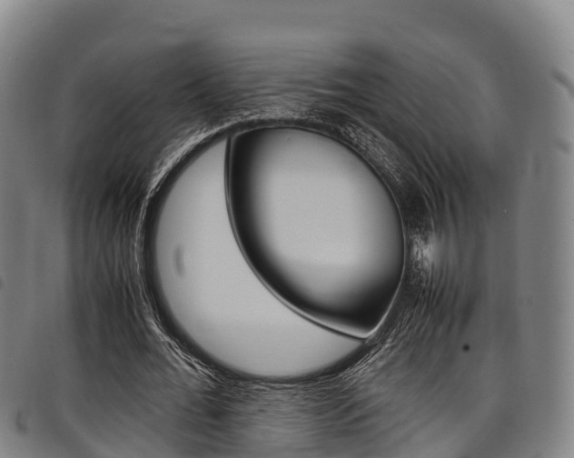 X0000098120676200804040824