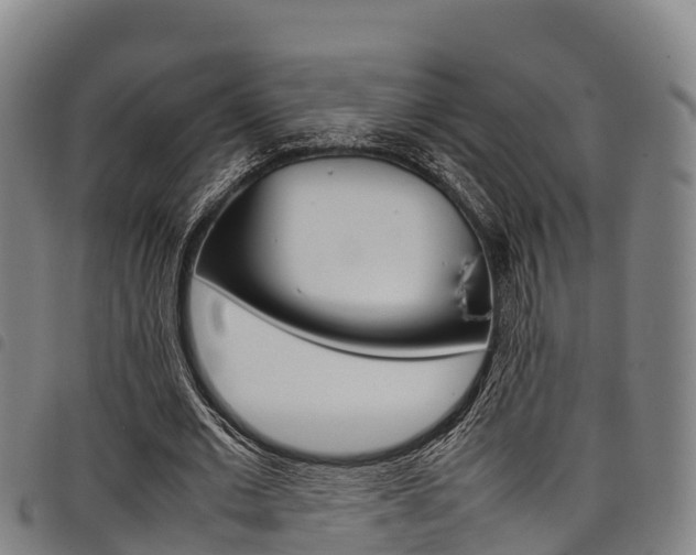 X0000098120677200804040824