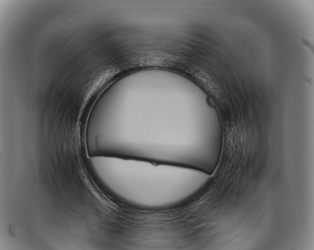 X0000098120678200804040824