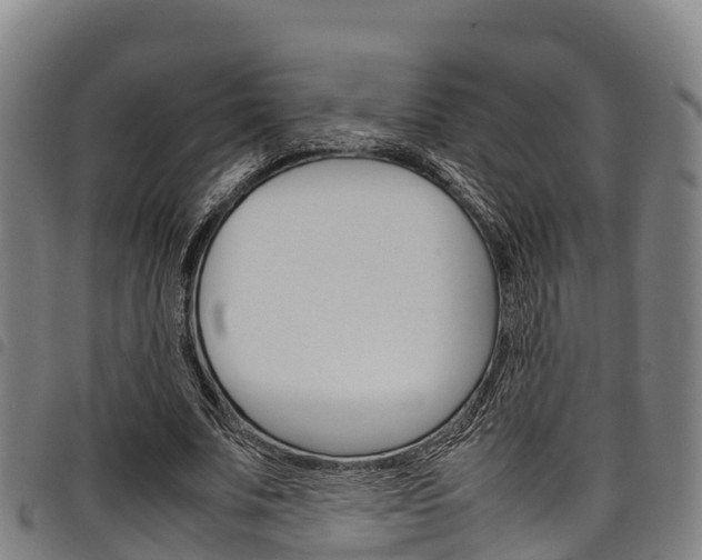 X0000098120679200804040824