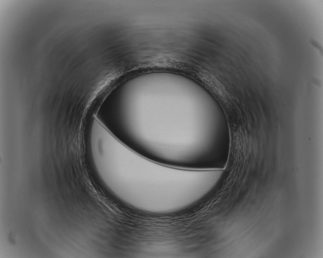 X0000098120680200804040824