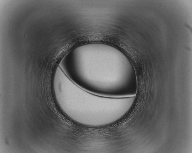X0000098120681200804040824