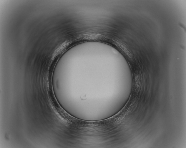 X0000098120682200804040824
