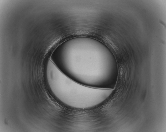 X0000098120684200804040824