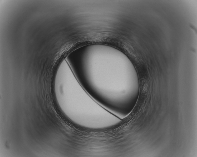 X0000098120685200804040824