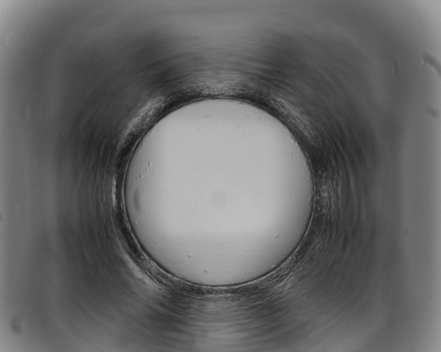 X0000098120686200804040824