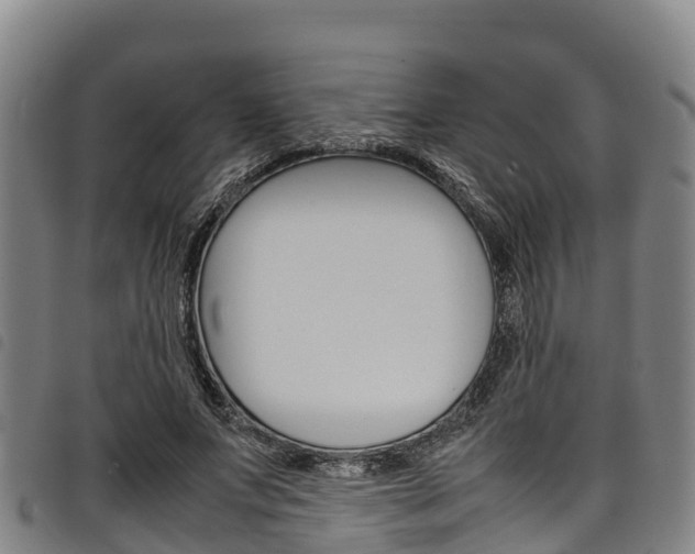 X0000098120687200804040824