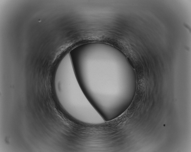 X0000098120688200804040824