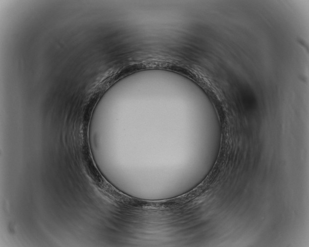 X0000098120690200804040824