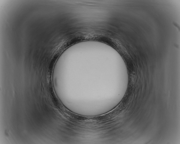 X0000098120691200804040824