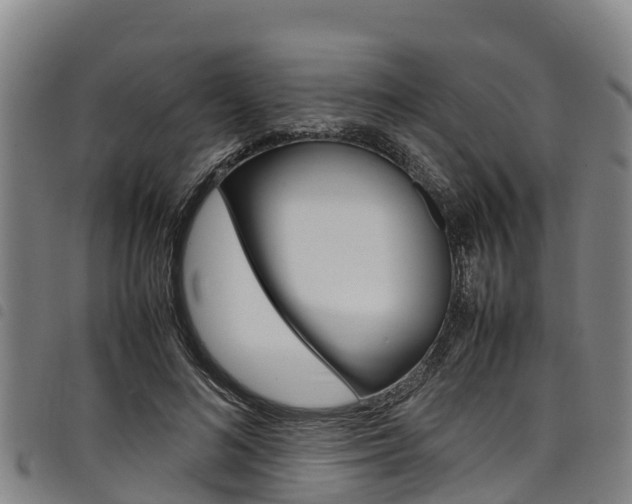 X0000098120692200804040824