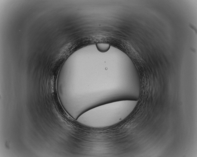 X0000098120694200804040824
