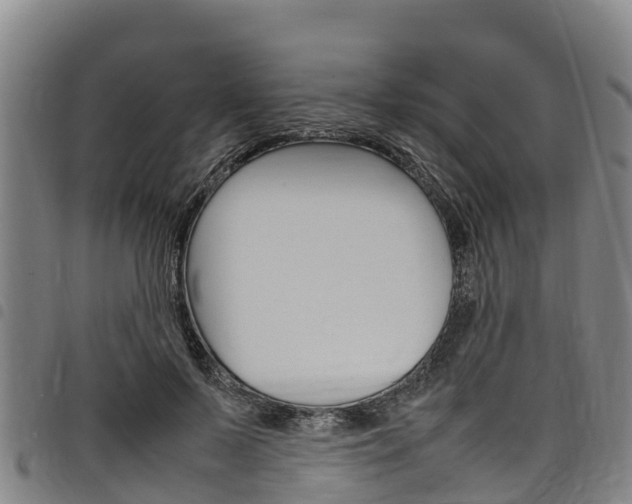 X0000098120695200804040824