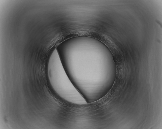 X0000098120696200804040824