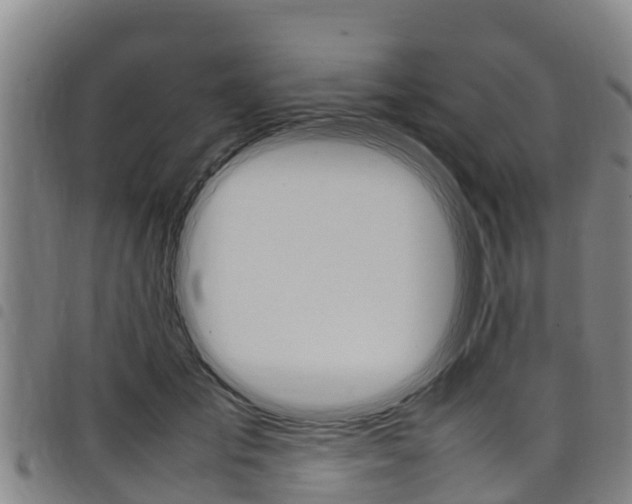 X0000098120701200804040824