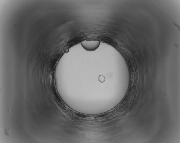 X0000098120703200804040824