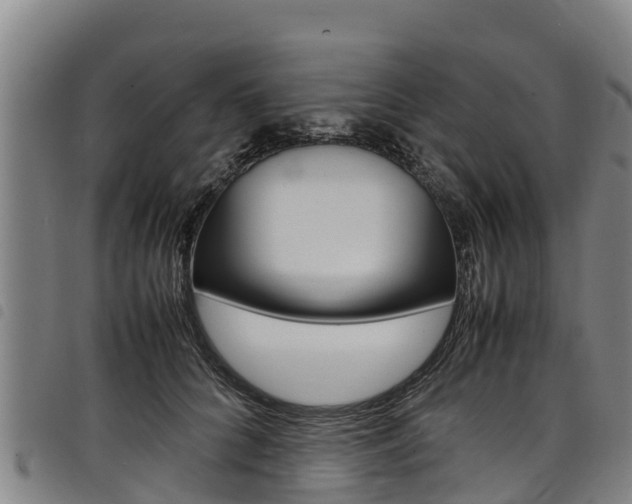 X0000098120704200804040824