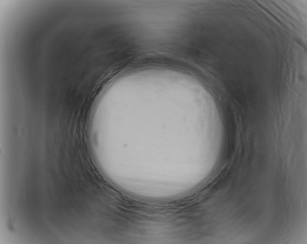 X0000098120705200804040824