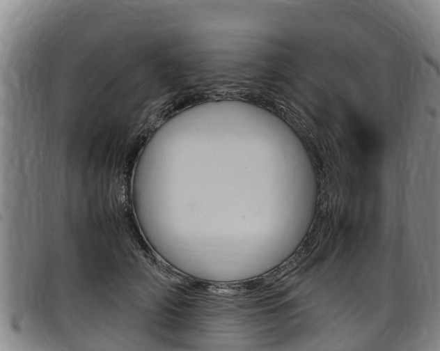 X0000098120706200804040824