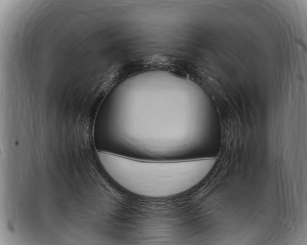 X0000098120708200804040824