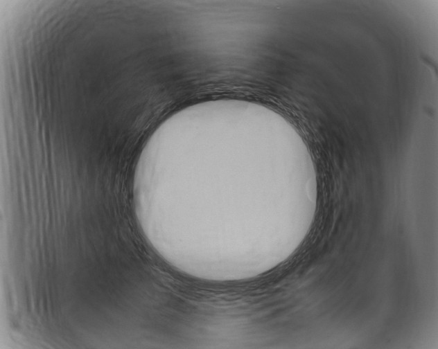 X0000098120709200804040824