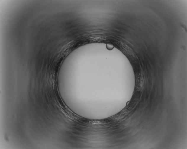 X0000098120710200804040824